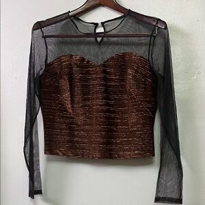 Chic Sheer Black and Shimmering Brown Women's Blouse